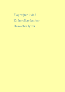 Flag vejrer i vind